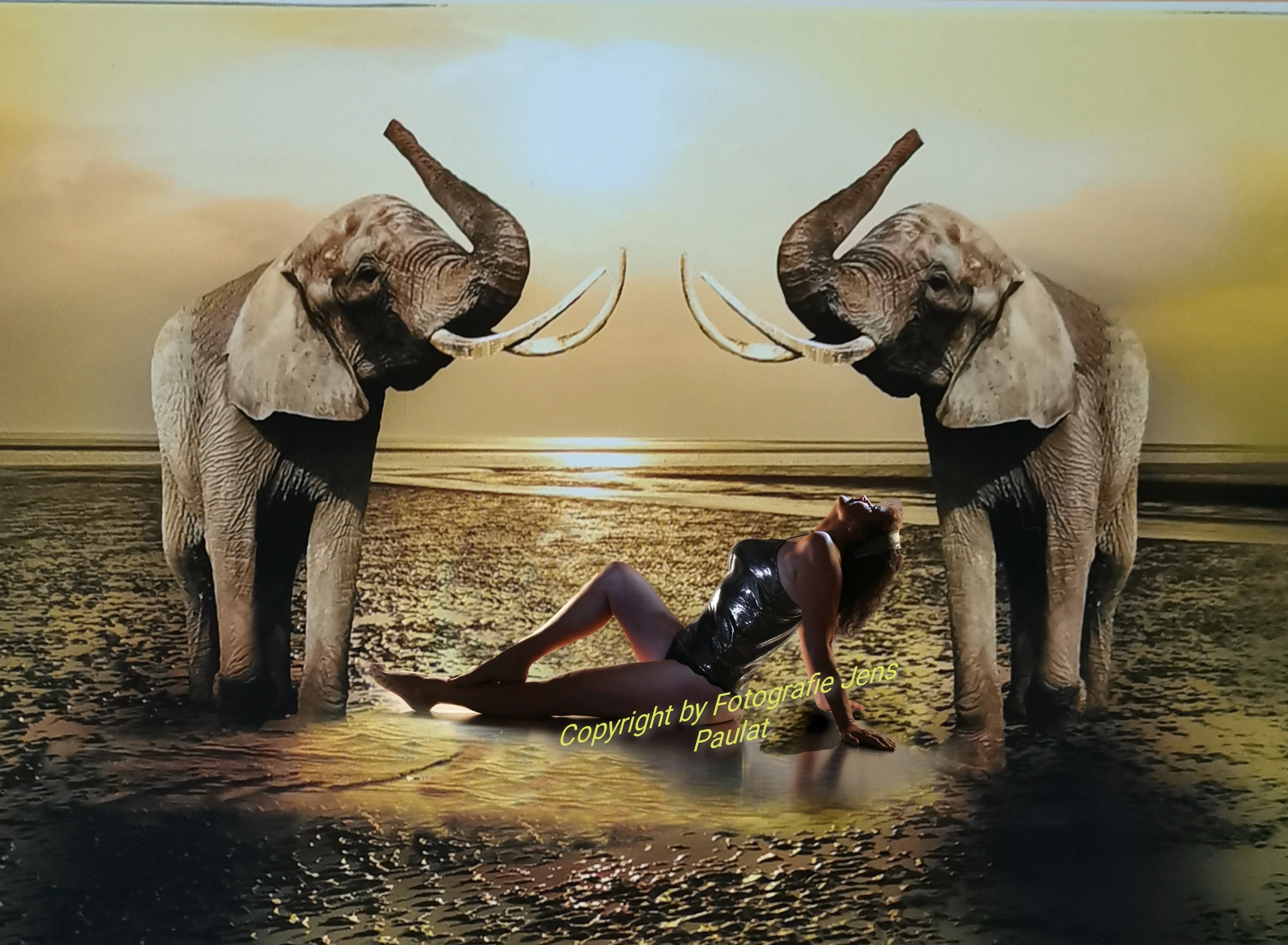 Außergewöhnliches Shooting Außergewöhnliches Shooting