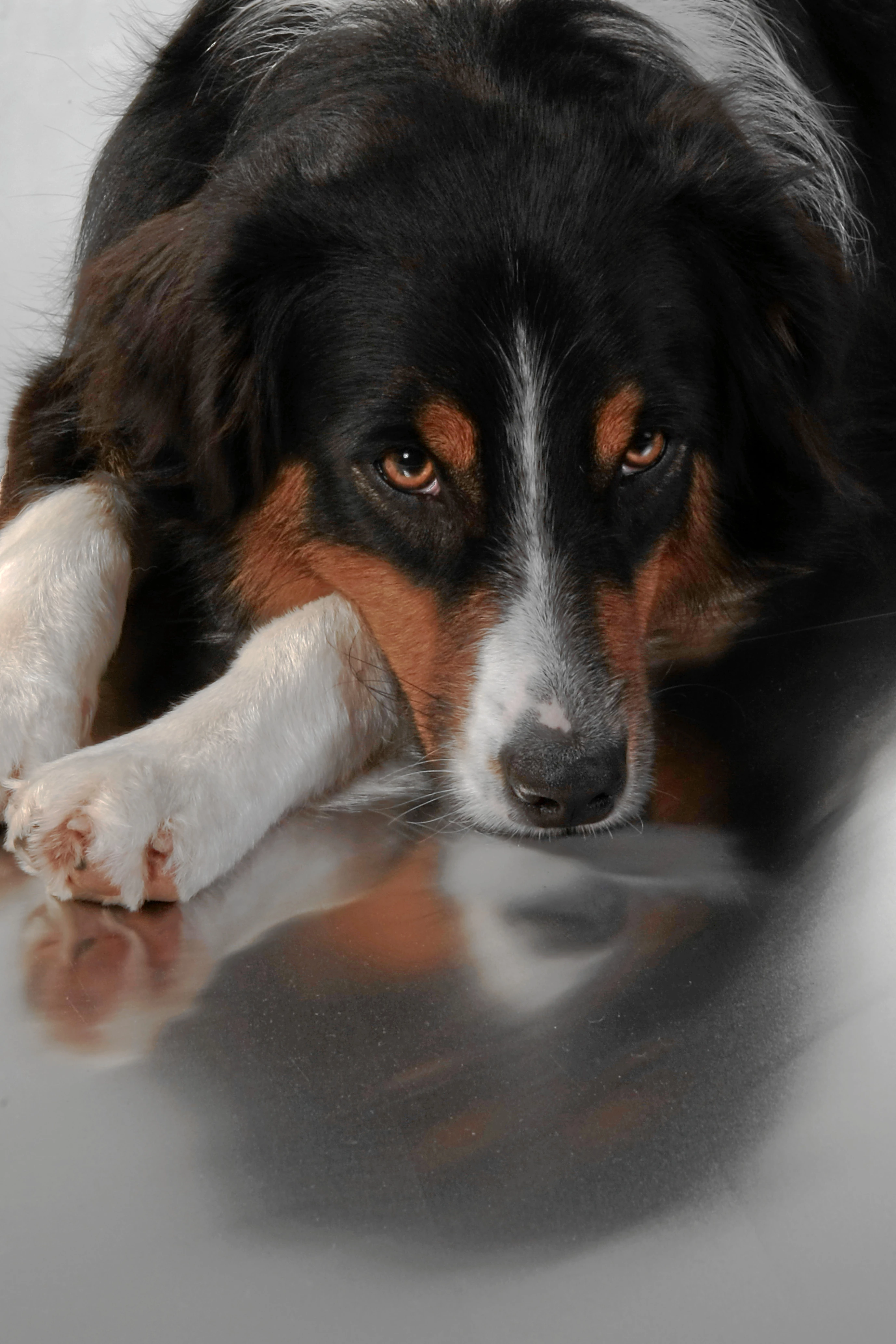 Tiere, Landschaft & Natur