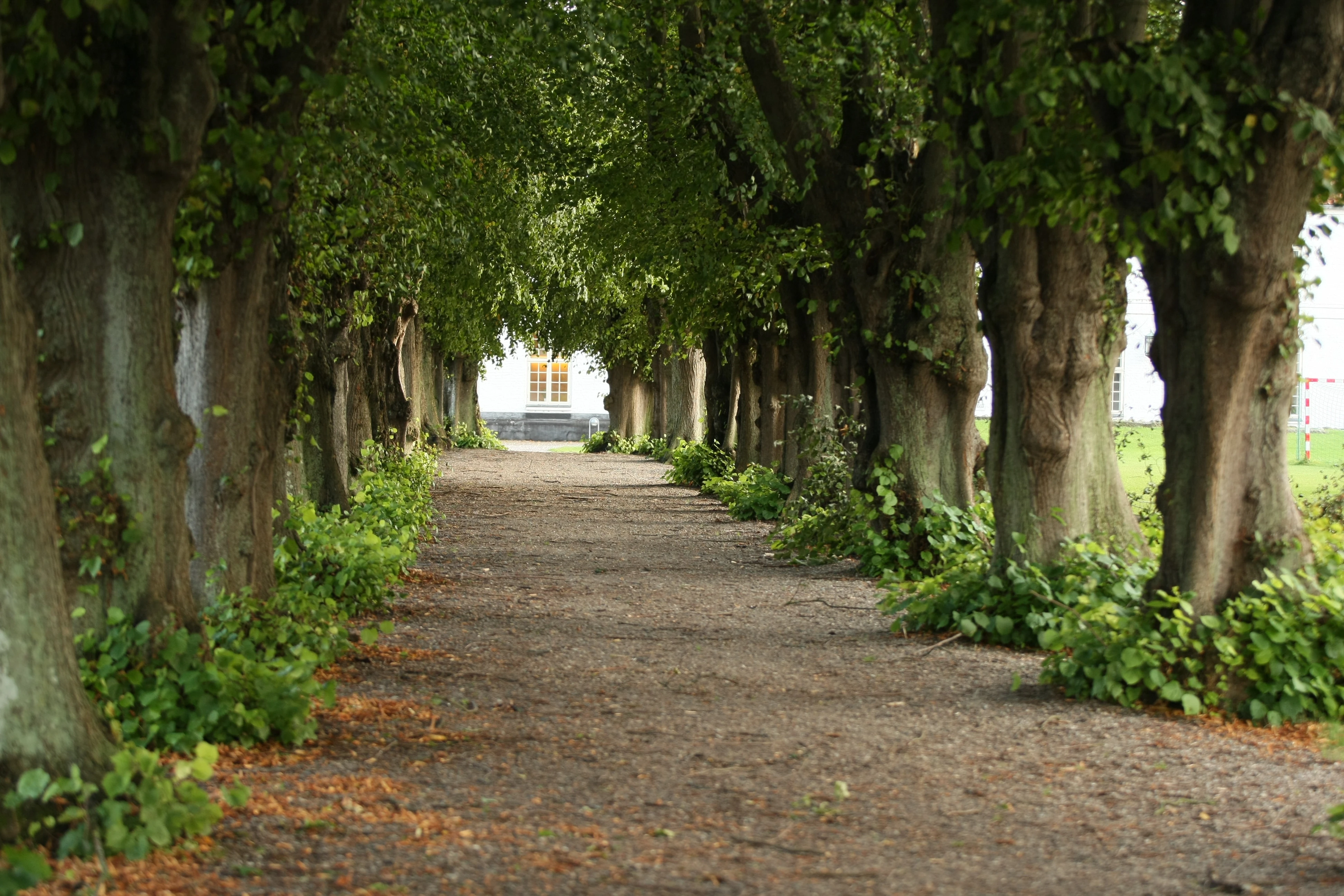 Tiere, Landschaft & Natur