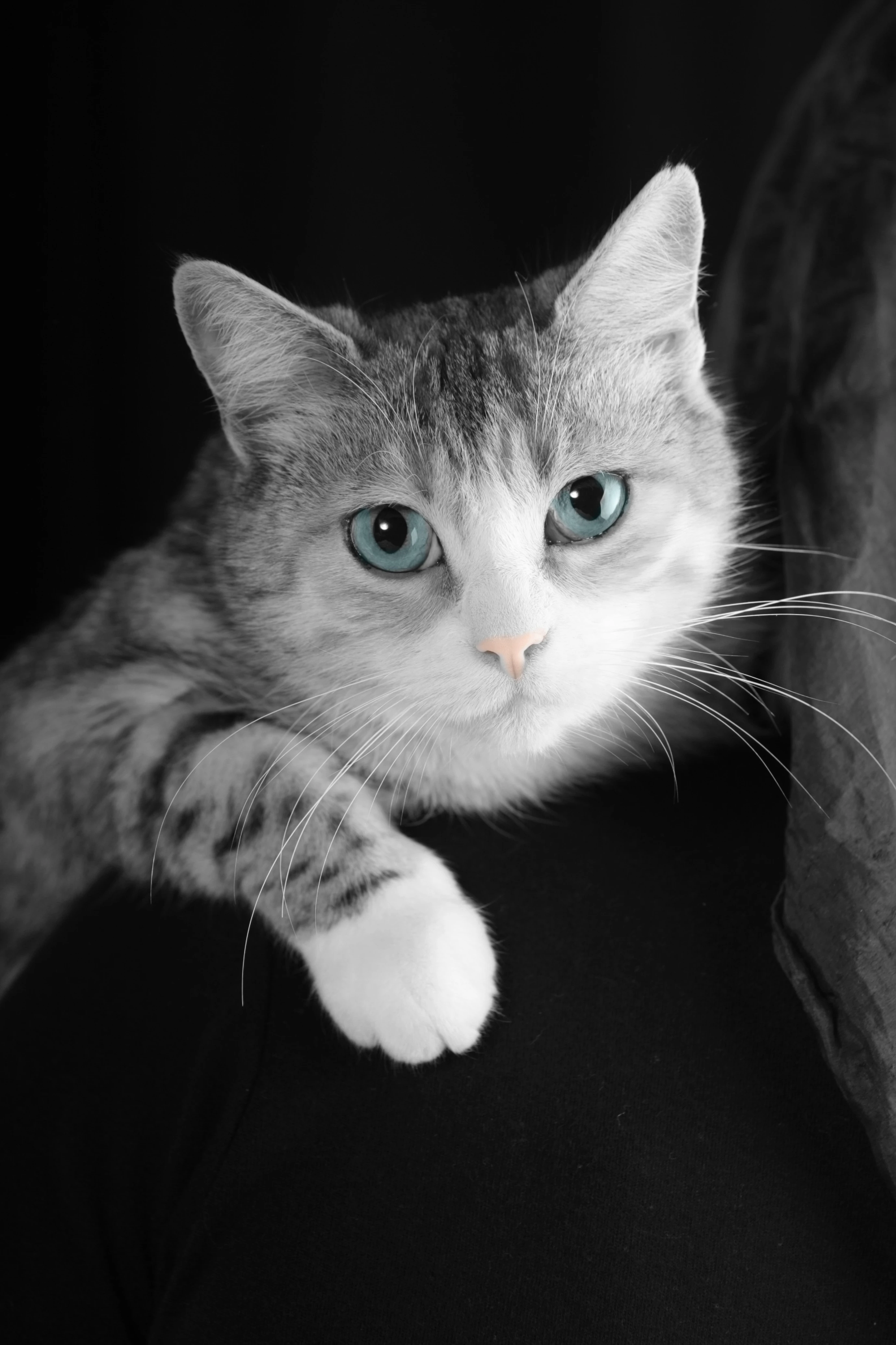 Tiere, Landschaft & Natur