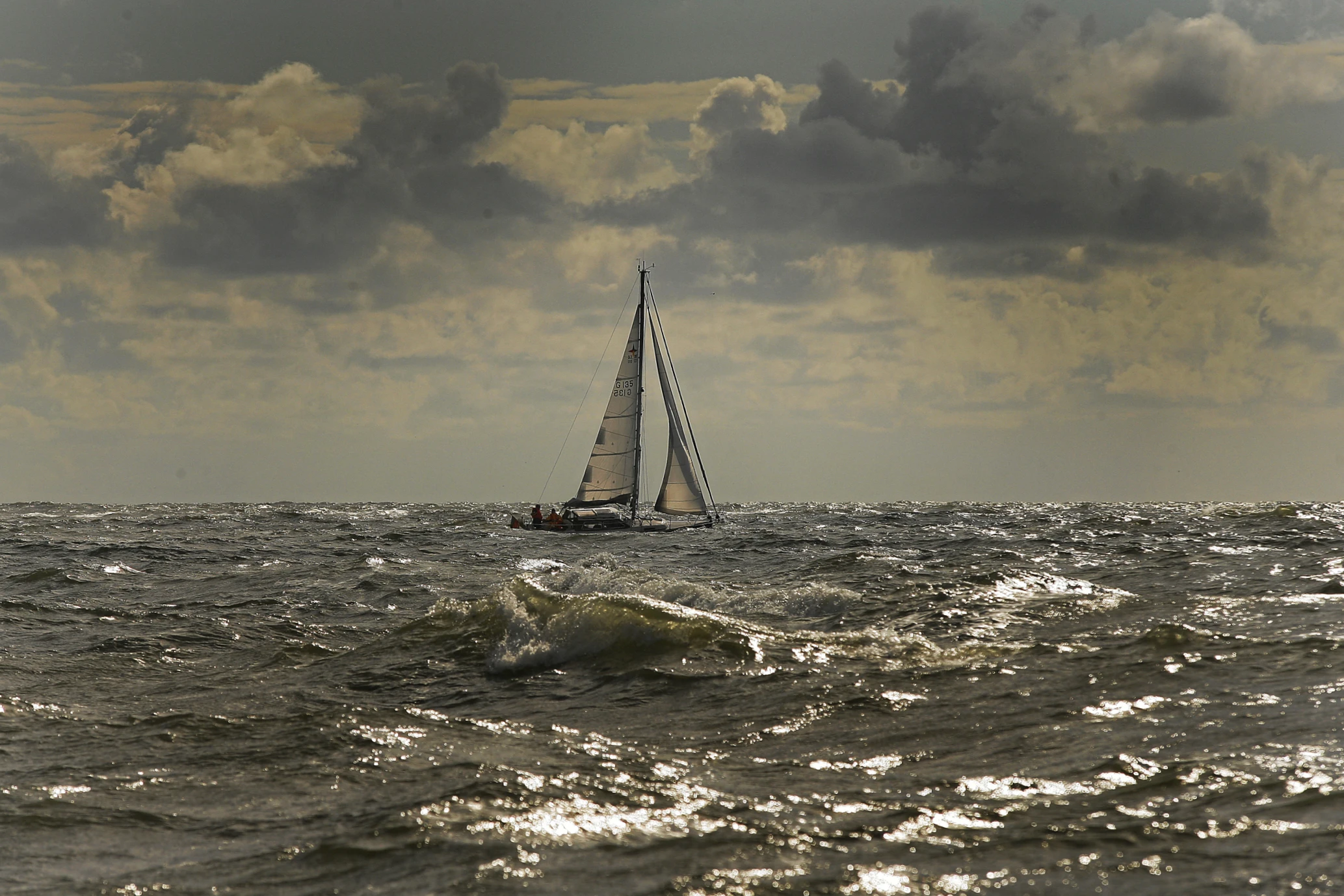 Tiere, Landschaft & Natur