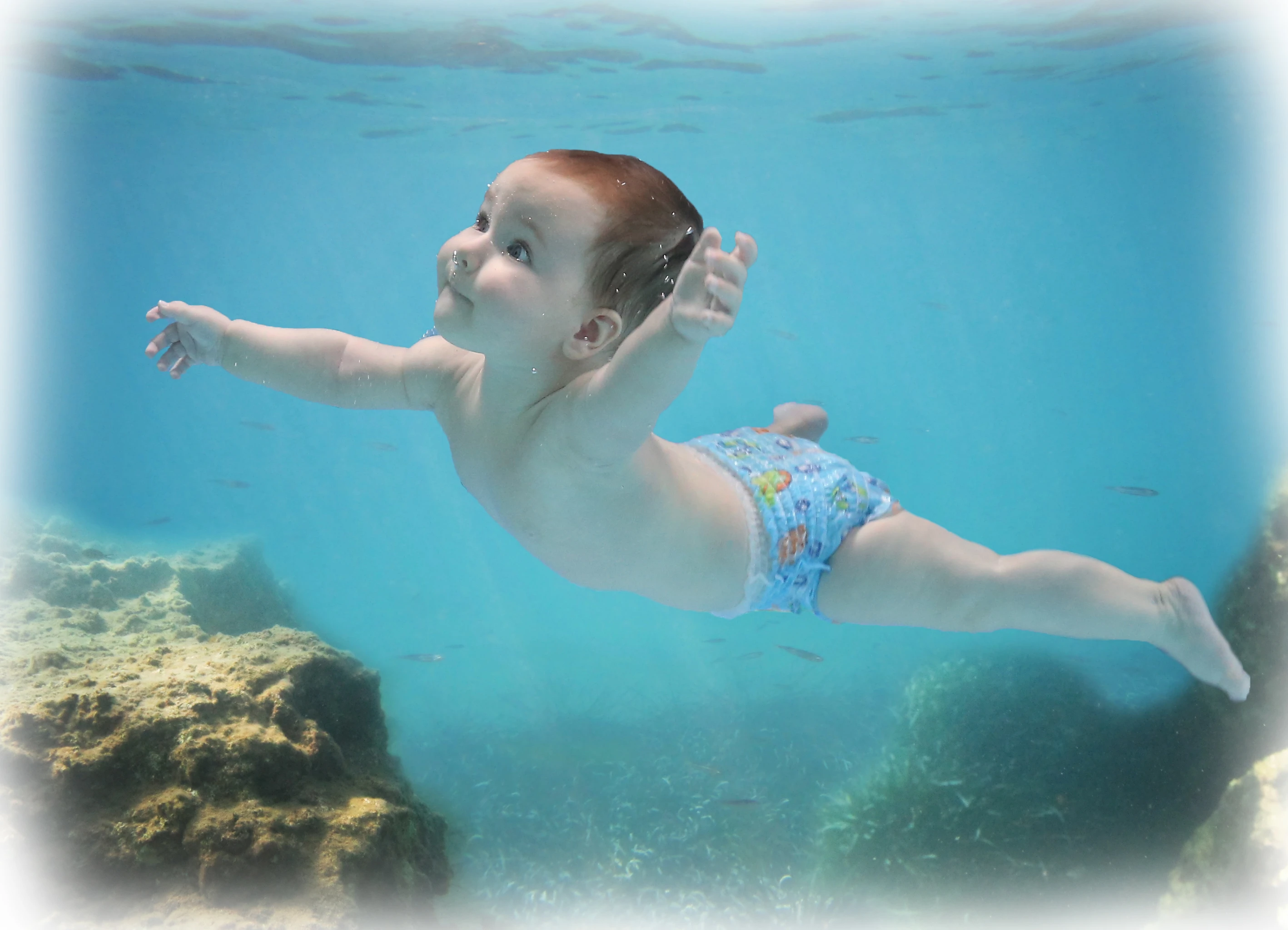 Unterwasserfotografie Unterwasserfotografie