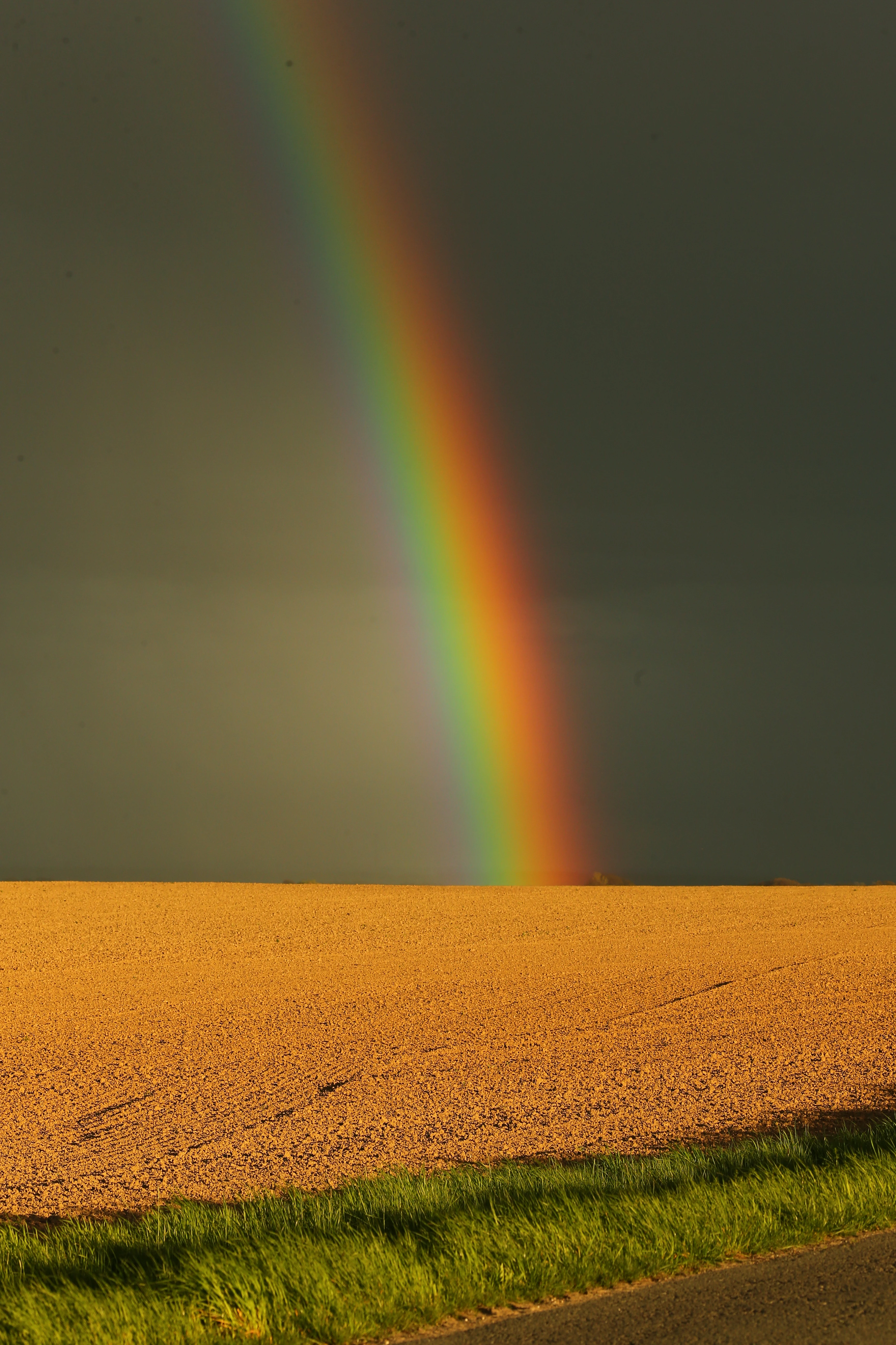 Tiere, Landschaft & Natur